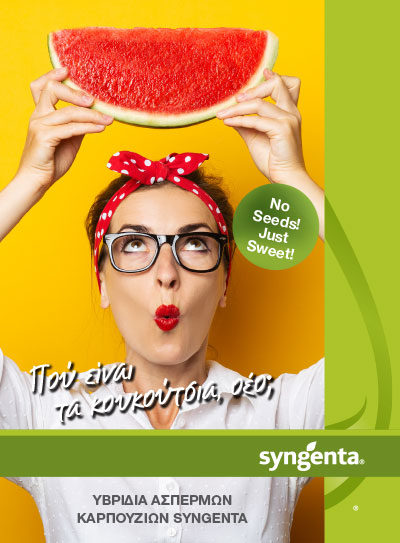 sy_watermelon_leaflet_low