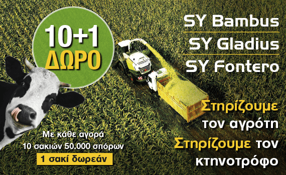 corn10plus1