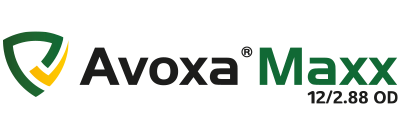 sy-avoxa-maxx-logo