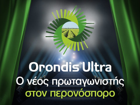 Orondis News Item Header