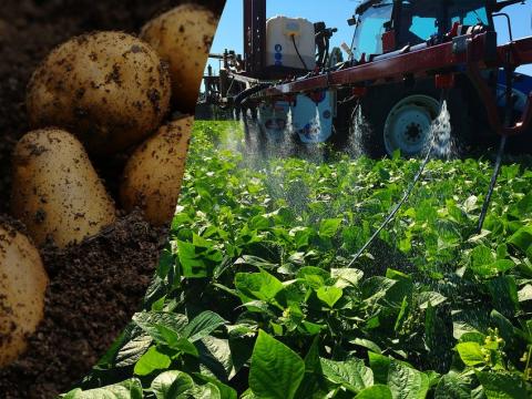 PotatoScience1Header
