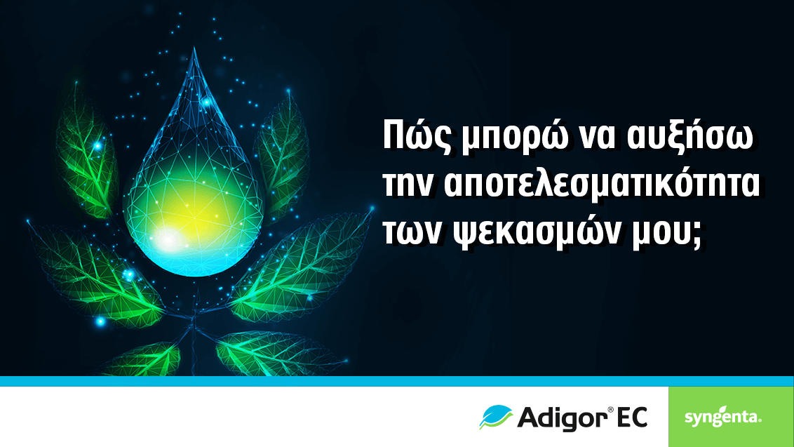 sy-adigor-article-1132x637