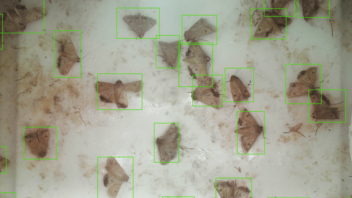 sy-trapview-slide-6-1132x637