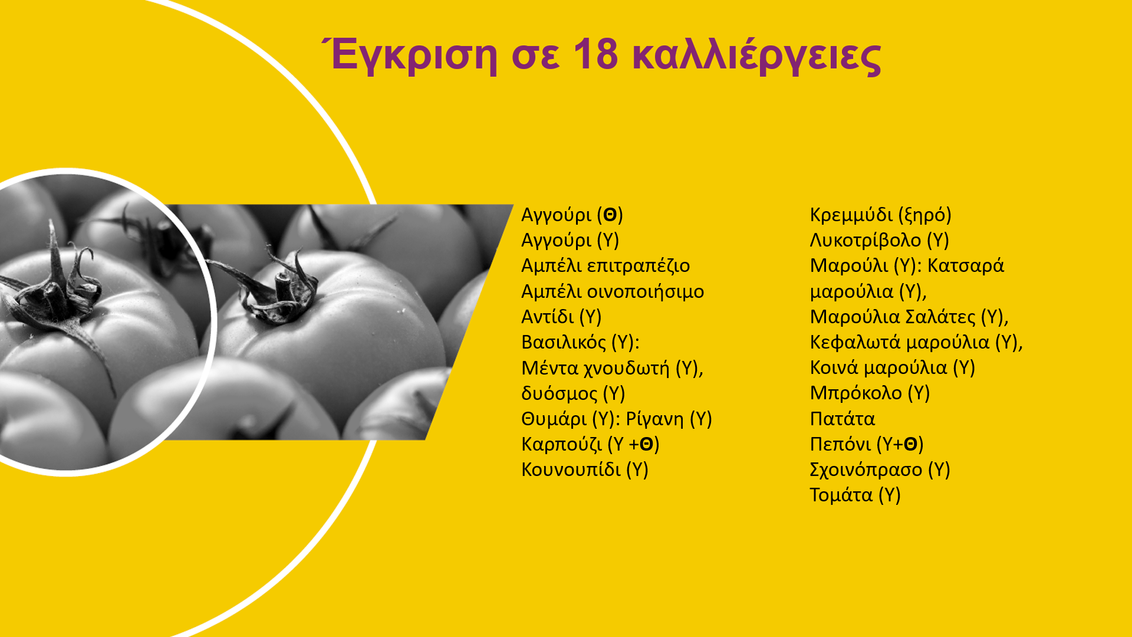 ridomil-gold-sl-crops