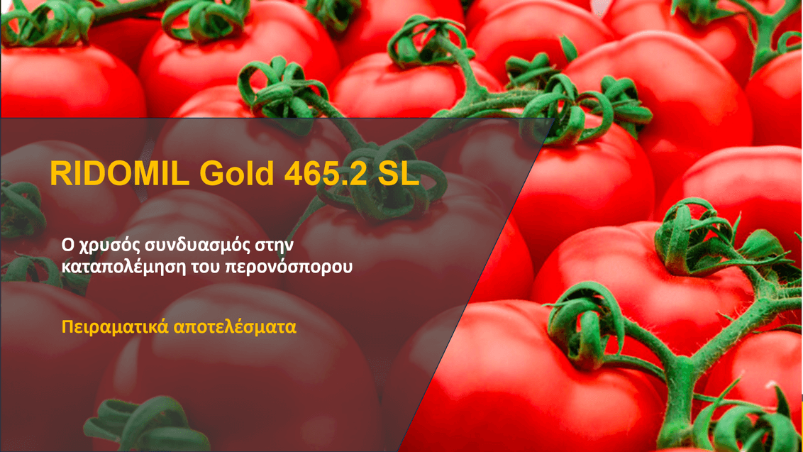 ridomil-gold-sl-experimentimg