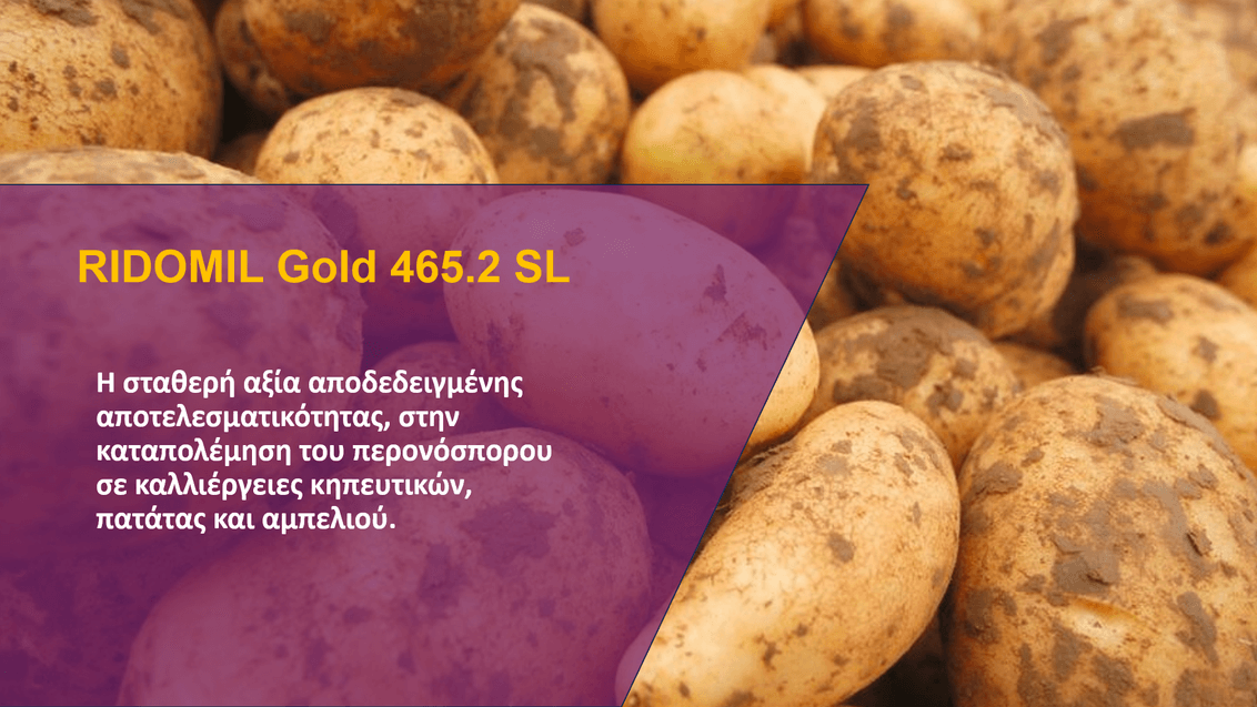 ridomil-gold-sl-introimg
