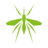 mosquito_160