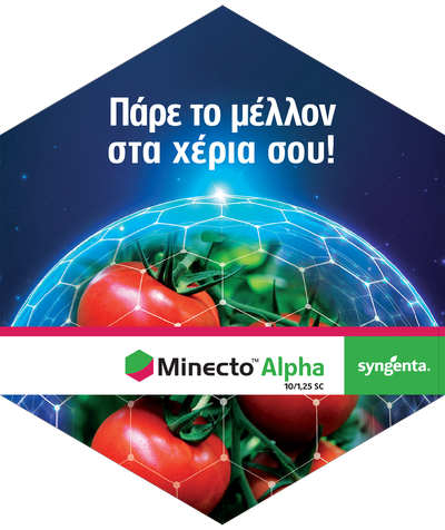 Minecto Alpha - Πάρε το μέλλον στα χέρια σου