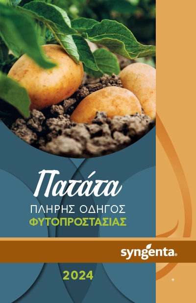 potato_booklet24_low