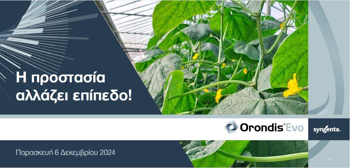Field Day Orondis Evo Banner 1132px