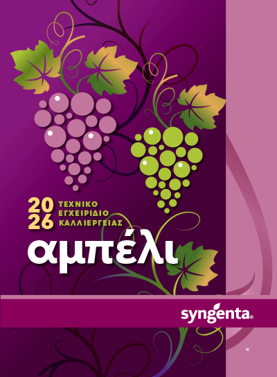 cover grape leaflet 2026 low res