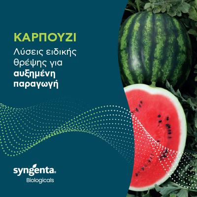 BNR Cover Watermelon 
