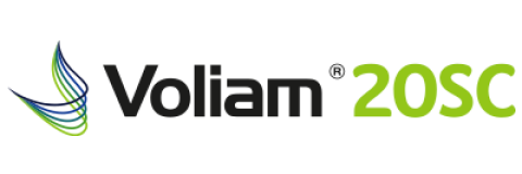 logo-voliam 20 sc