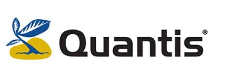 Quantis Logo
