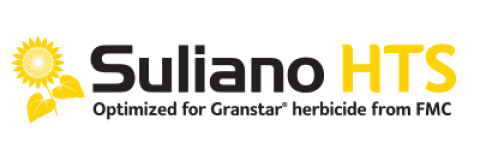 logo-sy-suliano-hts-granstar