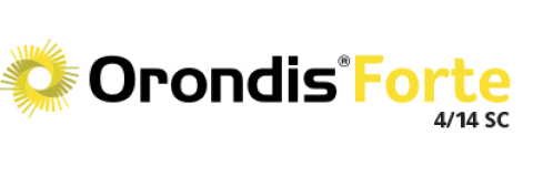 Logo Orondis Forte 4/14 SC
