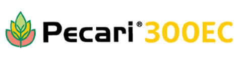 Logo Pecari 300 EC