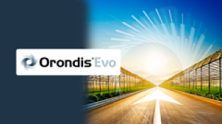 Orondis Evo HomePage Slide