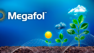 Megafol homepage slide