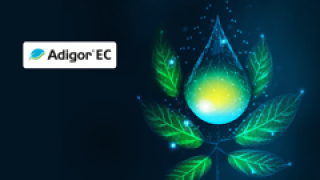 Adigor homepage slide