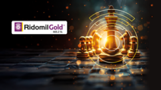 ridomil gold homepage slide