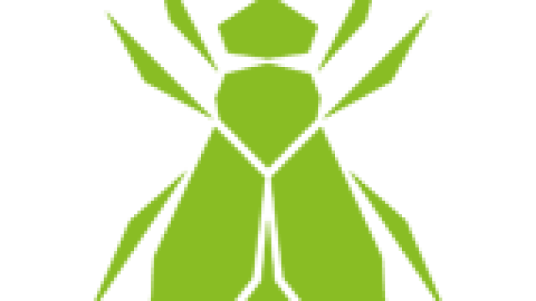 fly_160