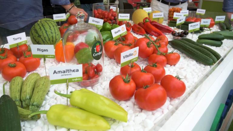 agroexpo2023