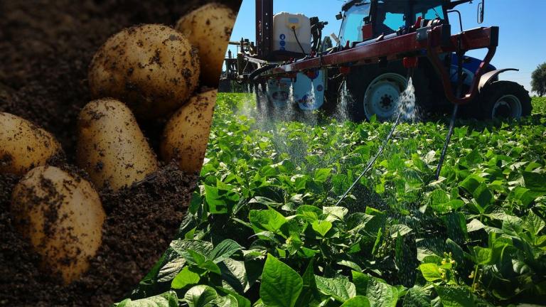 PotatoScience1Header