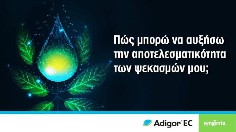 sy-adigor-article-1132x637