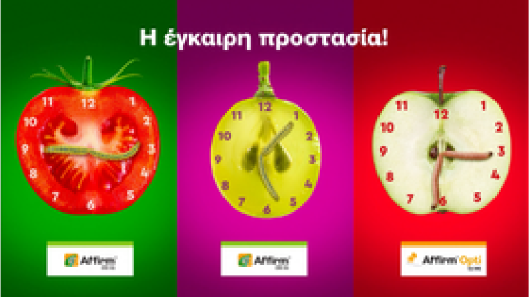 Γραφικό με τρία ρολόγια και μήνυμα «Η έγκαιρη προστασία!»
