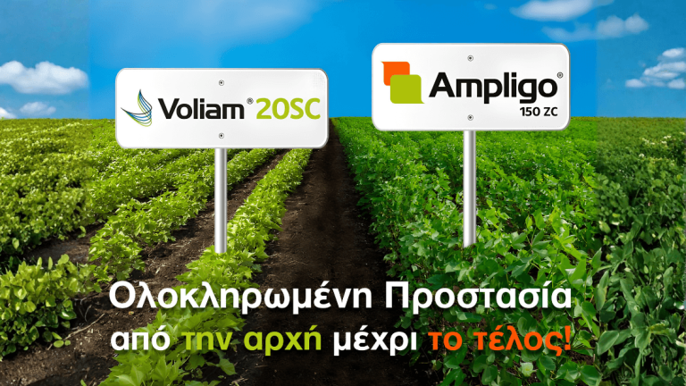 Γραφικό με πράσινο χωράφι, λογότυπα Voliam 20SC και Ampligo