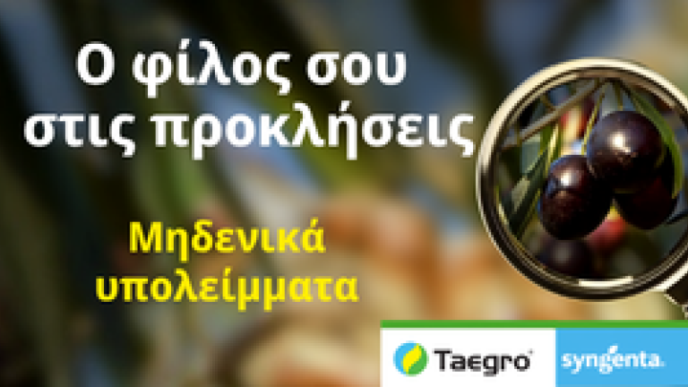 Διαφημιστικό banner: «Ο φίλος σου στις προκλήσεις!»