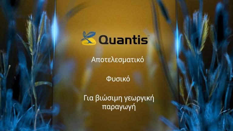 QUANTIS: Αντοχή στη ζέστη, ενισχυμένη παραγωγή