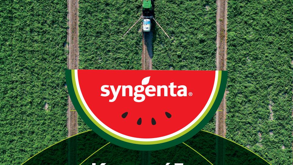 Λογότυπο Syngenta και κείμενο Καρπούζια Πρωταγωνιστές!