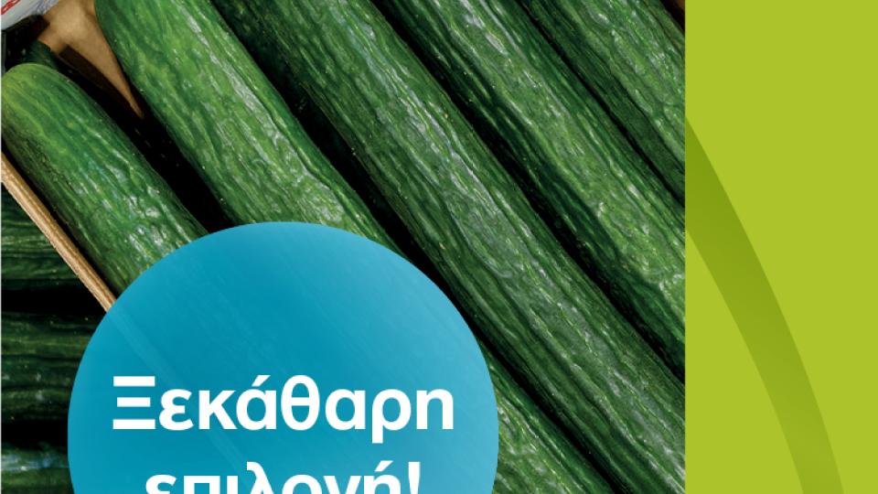 Γραφικό με αγγούρια και κείμενο «Νέα Γενιά Αγγουριών», «Ξεκάθαρη επιλογή!»