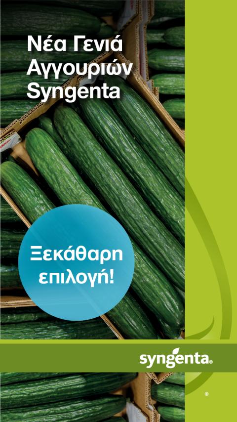 Γραφικό με αγγούρια και κείμενο «Νέα Γενιά Αγγουριών», «Ξεκάθαρη επιλογή!»