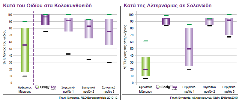 Cidely Top Illustration 2