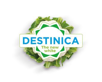 Syngenta Destinica