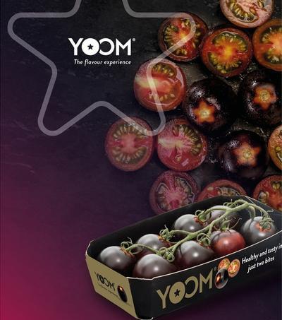 Syngenta Yoom