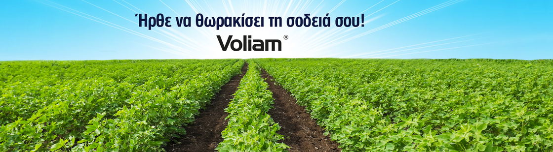 Header-Voliam 20 sc