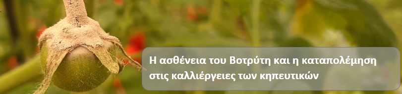 votritis-header