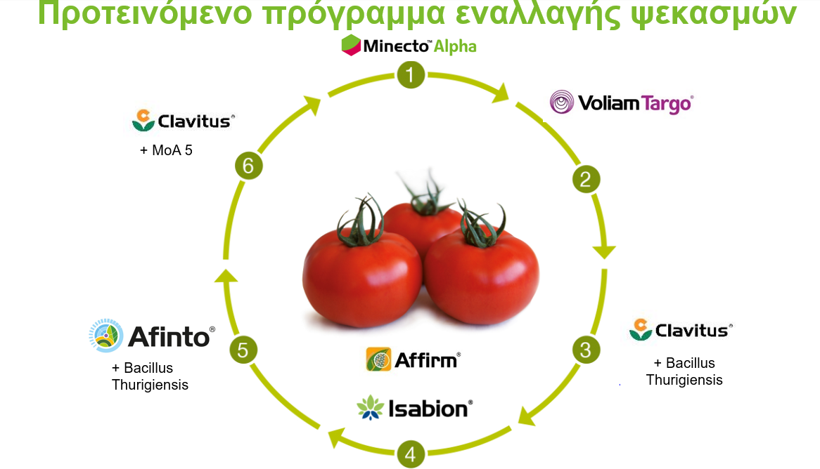 tuta_circle3