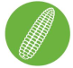 corn_roka