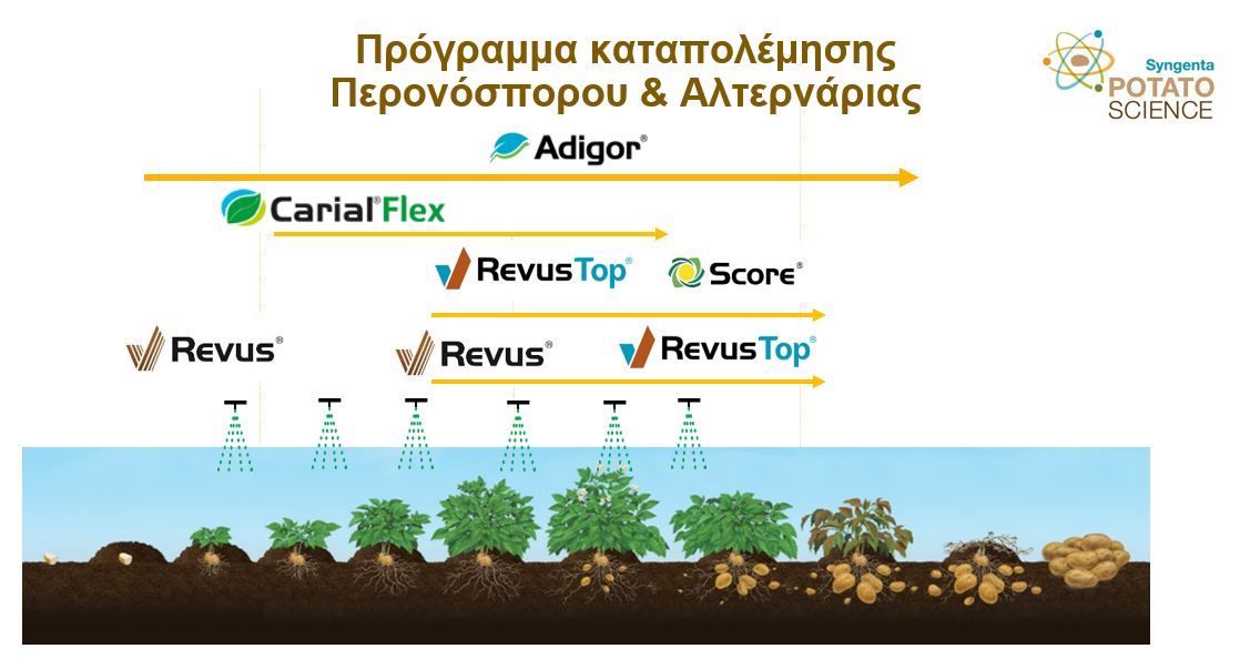 slide3-potatoscience