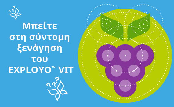 sy-exployo-vit-banner-570x350