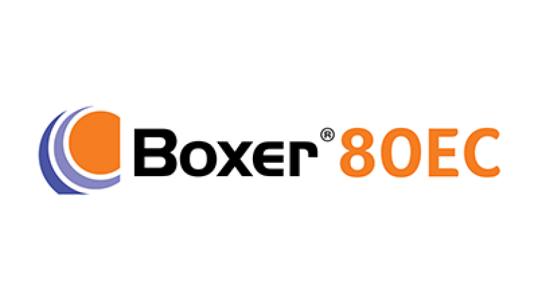Boxer 80 EC