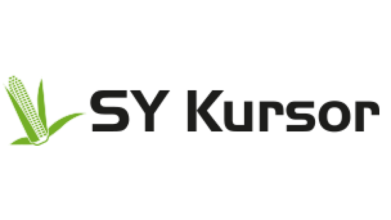 sy-kursor
