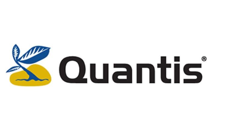 Quantis Logo