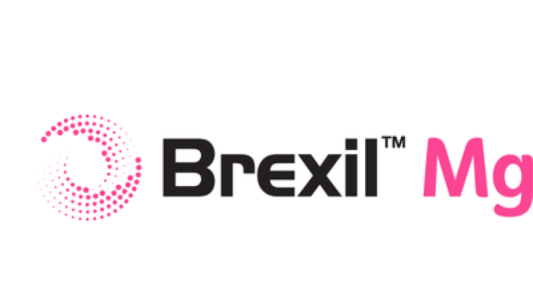 Logo Brexil Mg