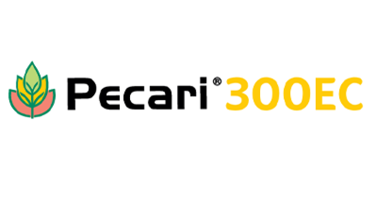 Logo Pecari 300 EC